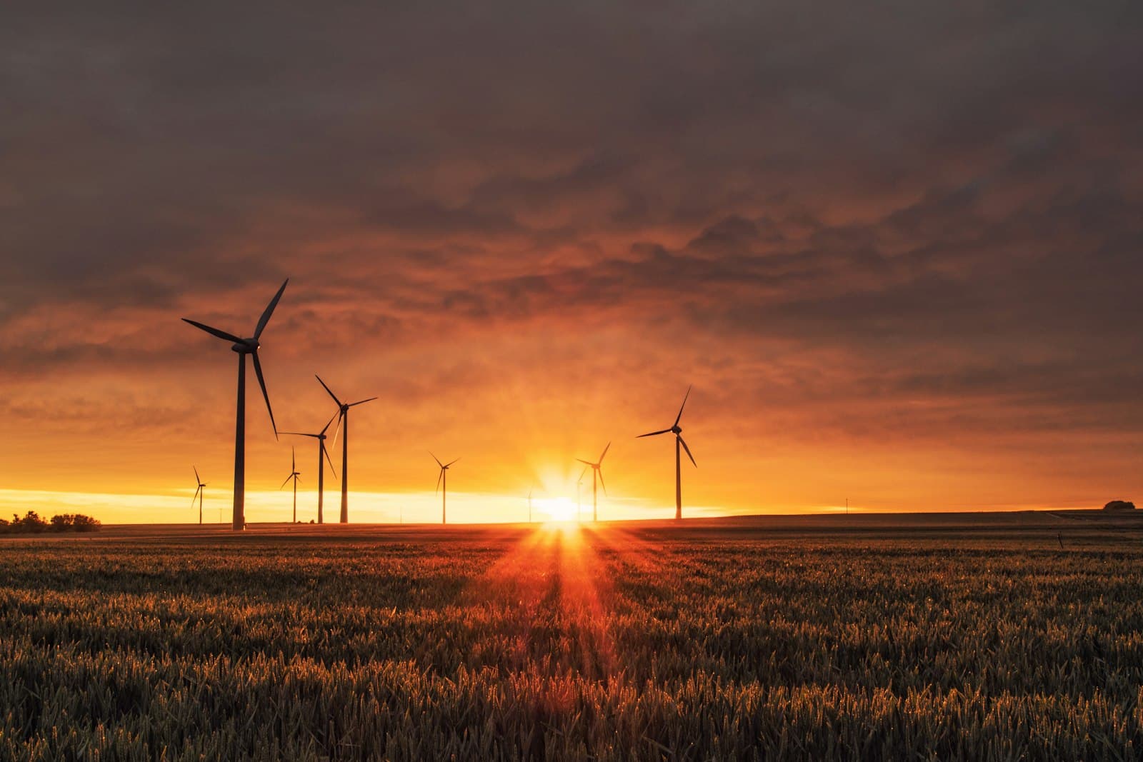 Éoliennes au coucher du soleil - transition énergétique des bâtiments